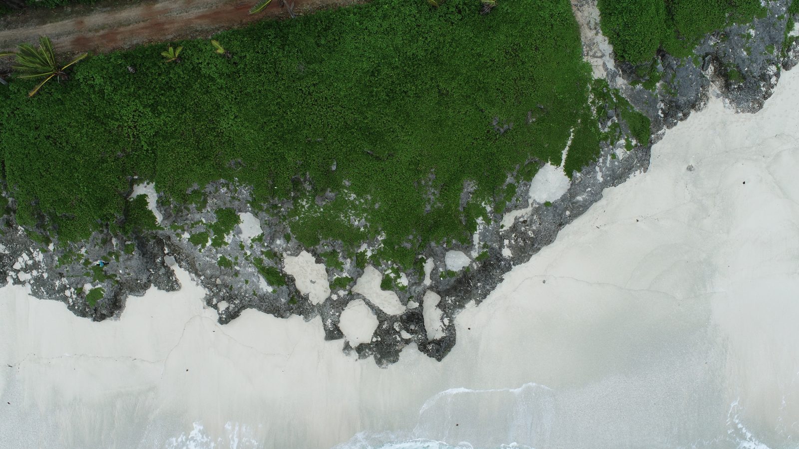 HS101 drone survey: HS101/Matai drone survey was completed after setting GCPs and collecting samples, with passes at about 49 ft, 20-25 ft oblique, and 150 ft shore-parallel.