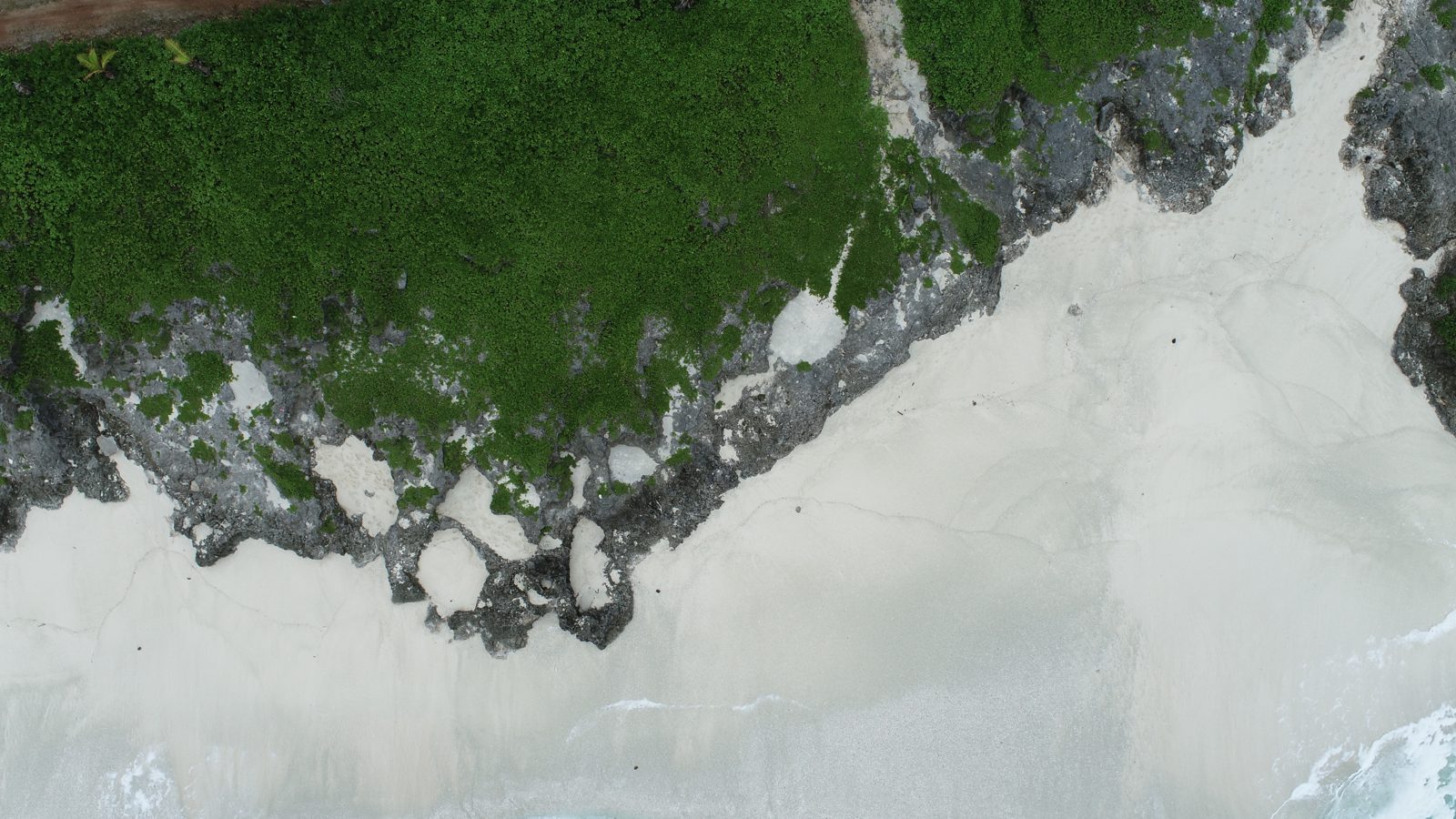 HS101 drone survey: HS101/Matai drone survey was completed after setting GCPs and collecting samples, with passes at about 49 ft, 20-25 ft oblique, and 150 ft shore-parallel.