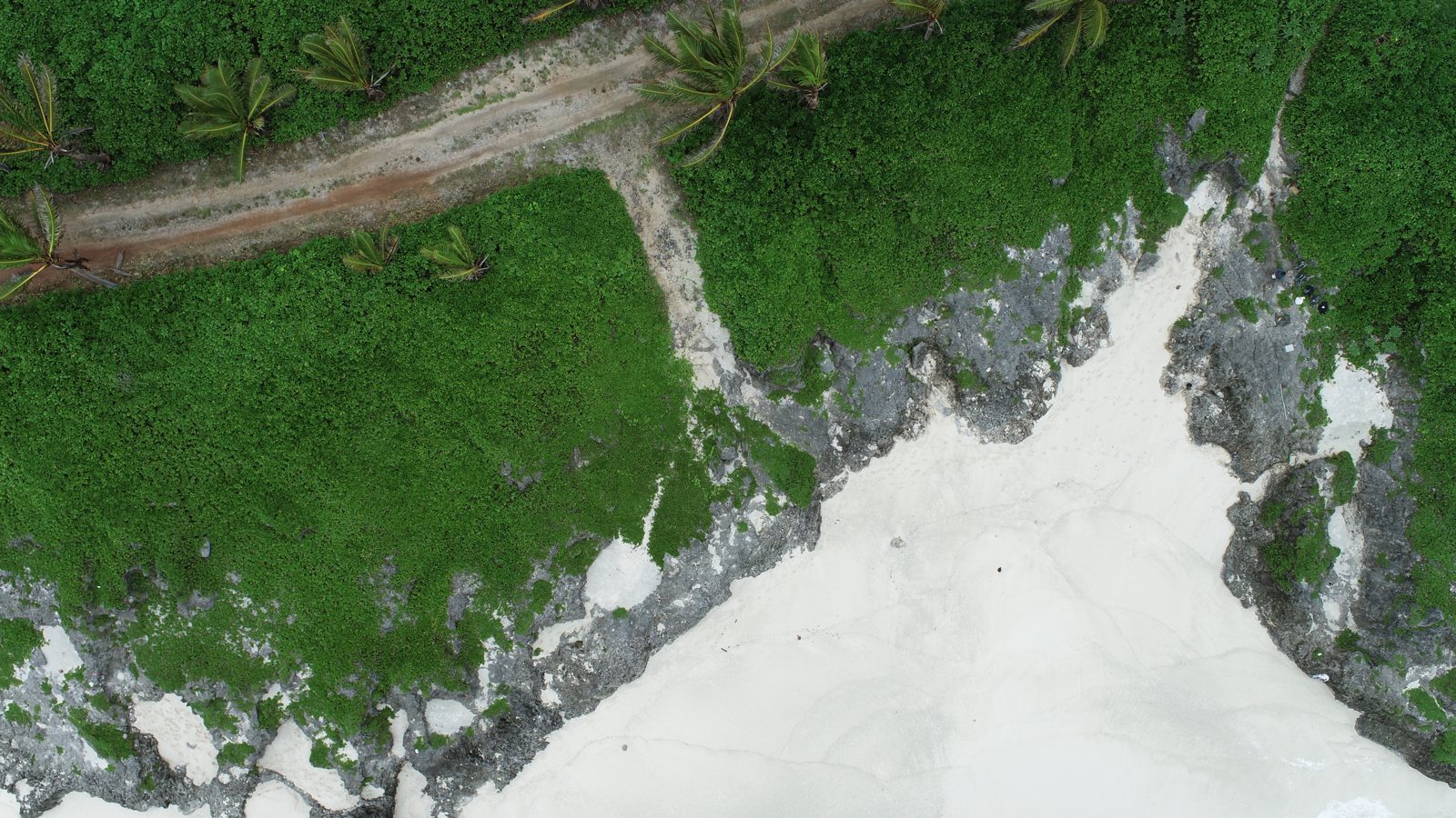 HS101 drone survey: HS101/Matai drone survey was completed after setting GCPs and collecting samples, with passes at about 49 ft, 20-25 ft oblique, and 150 ft shore-parallel.