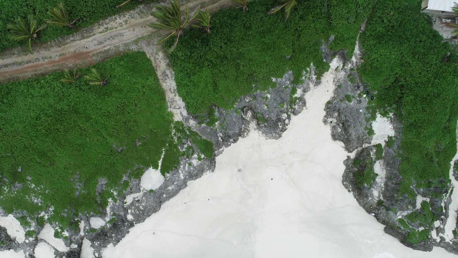 HS101 drone survey: HS101/Matai drone survey was completed after setting GCPs and collecting samples, with passes at about 49 ft, 20-25 ft oblique, and 150 ft shore-parallel.