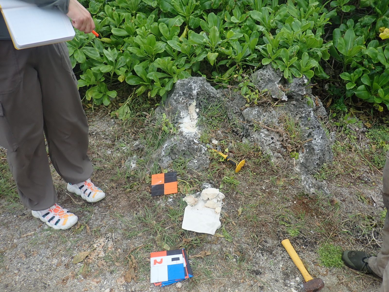 HS101 road sample G: HS101 sample G, on the road, targets a possibly in situ boulder.