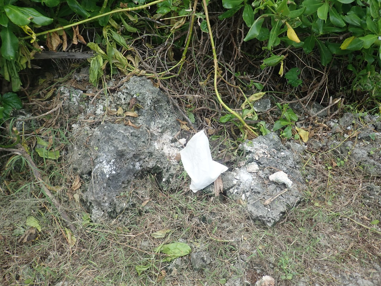 HS101 road sample F: HS101 sample F is also a road-level boulder, likely in situ with road material around it.
