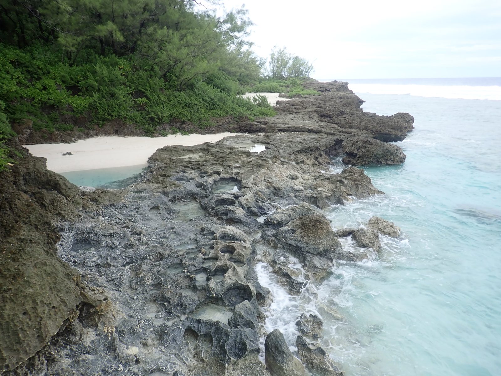 Pocket beaches persist behind the low seaward edge of the Cook's landing outcrop. Were they ancient topographic lows, or are they modern erosional features?