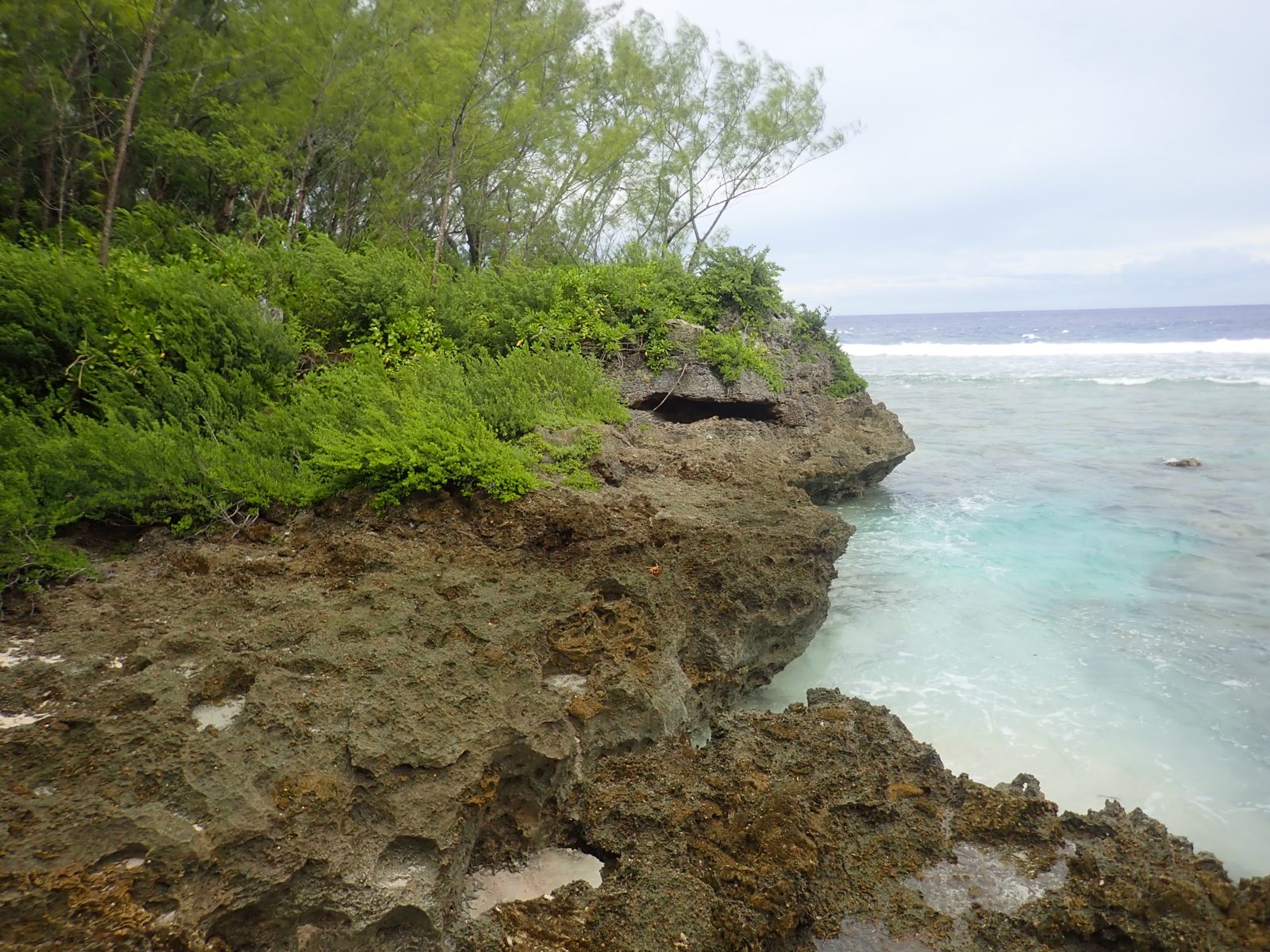 Northward Cook's Landing reconnaissance: Walked north to another beach and found no better exposure than Cook's Landing, so work focused back at the main outcrop and harbor.