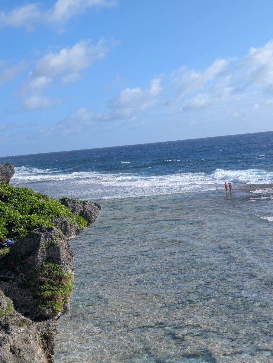 Roger and Tilly study the organisms making their home on the algal reef crest at the wave break.