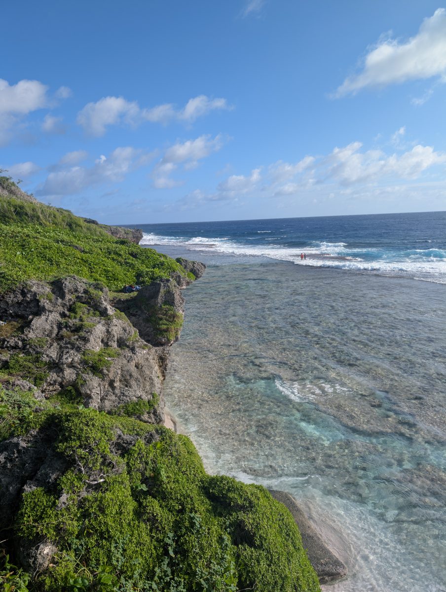 Roger and Tilly study the organisms making their home on the algal reef crest at the wave break.