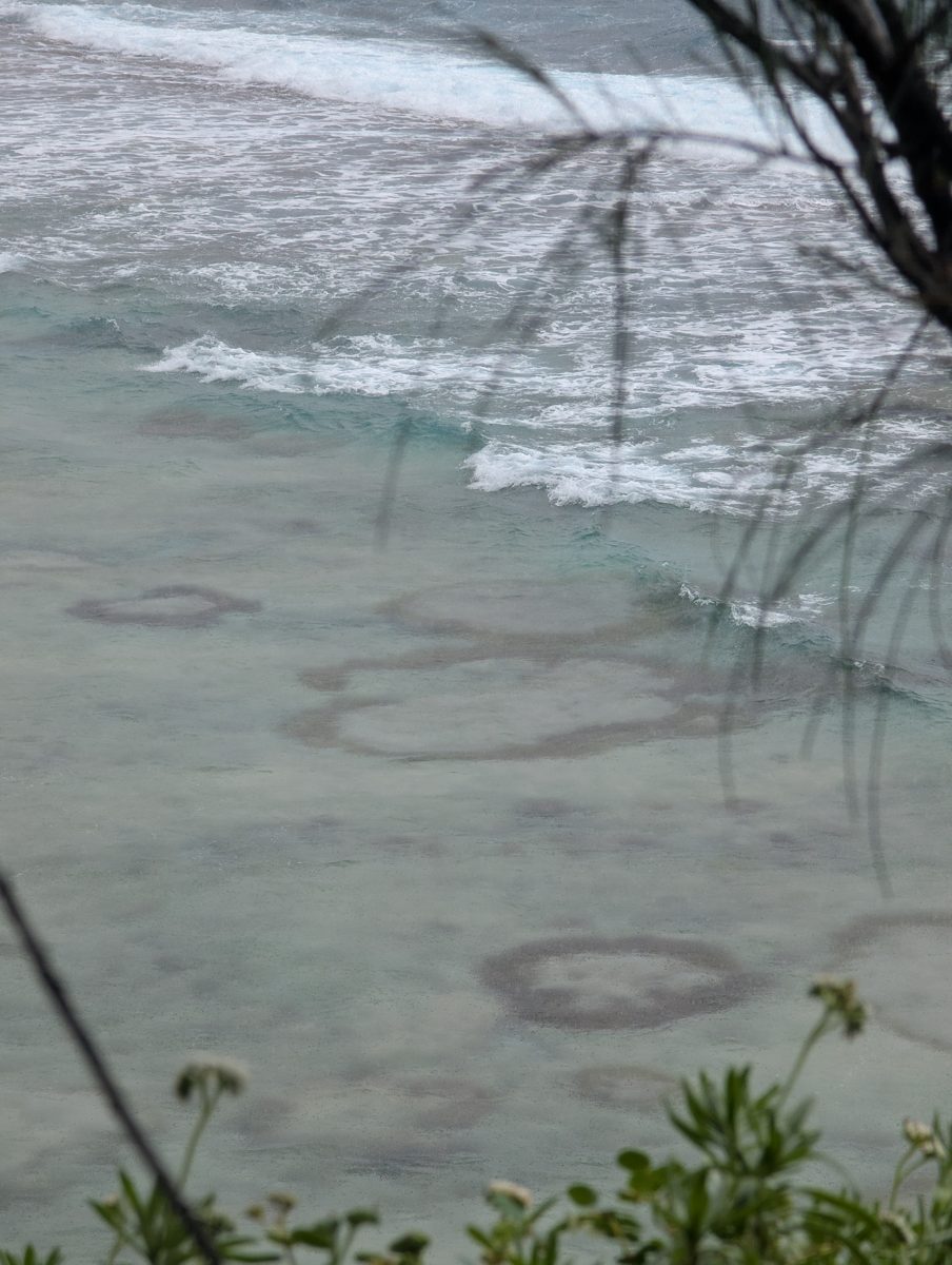 Broad reef flat with microatolls: Northward cliff view showed broad reef/back-reef flat exposure and large microatoll forms, but no safe descent was identified.