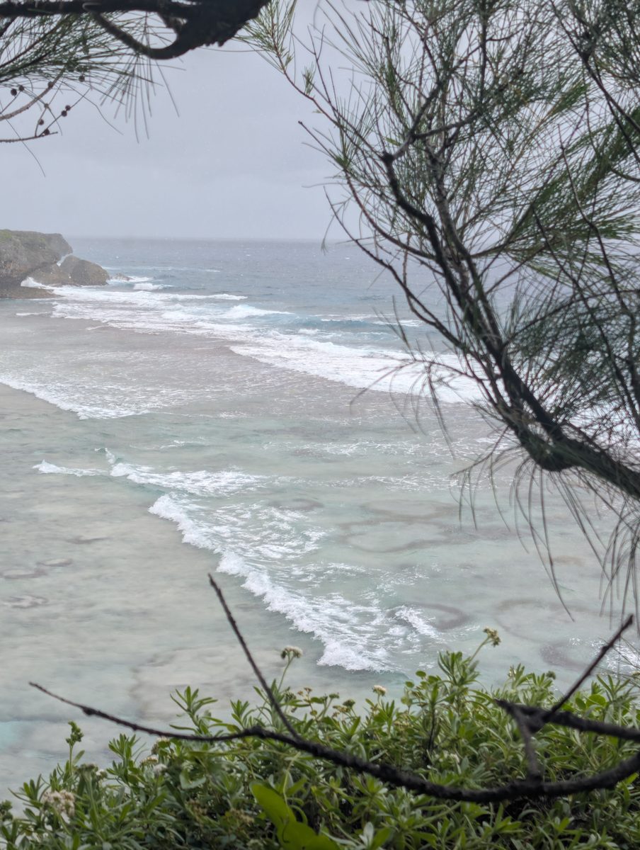 Broad reef flat with microatolls: Northward cliff view showed broad reef/back-reef flat exposure and large microatoll forms, but no safe descent was identified.