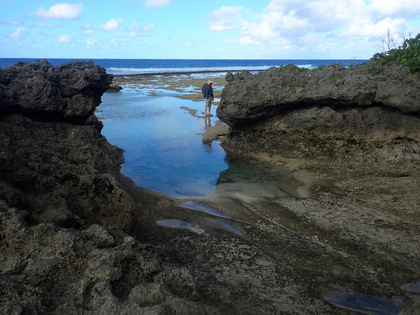 Roger stands on the tidal bench while evaluating the outcrop as a potential MIS 5e