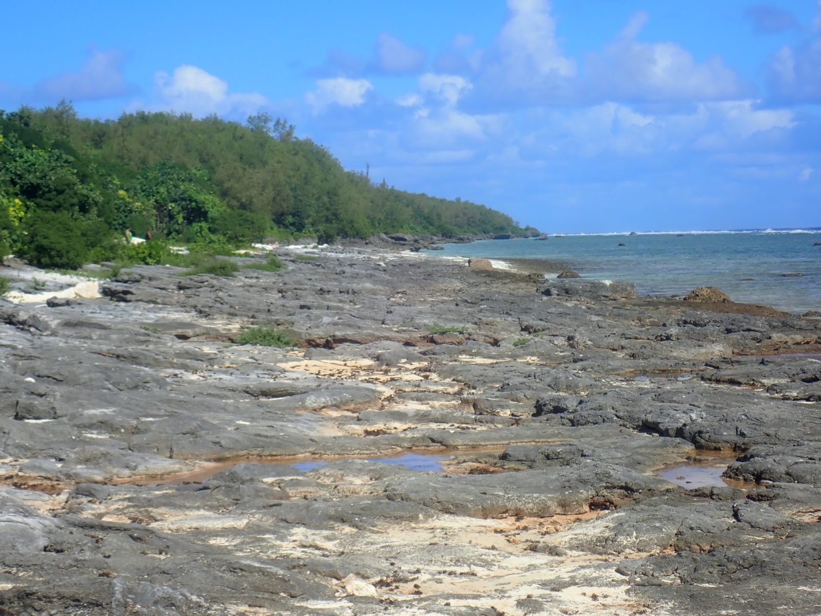 Harbor flat-to-beach transition: Alternative interpretation treats the lower flat and beachrock as a more conformable early Holocene to beach transition rather than a sharp older/younger break.