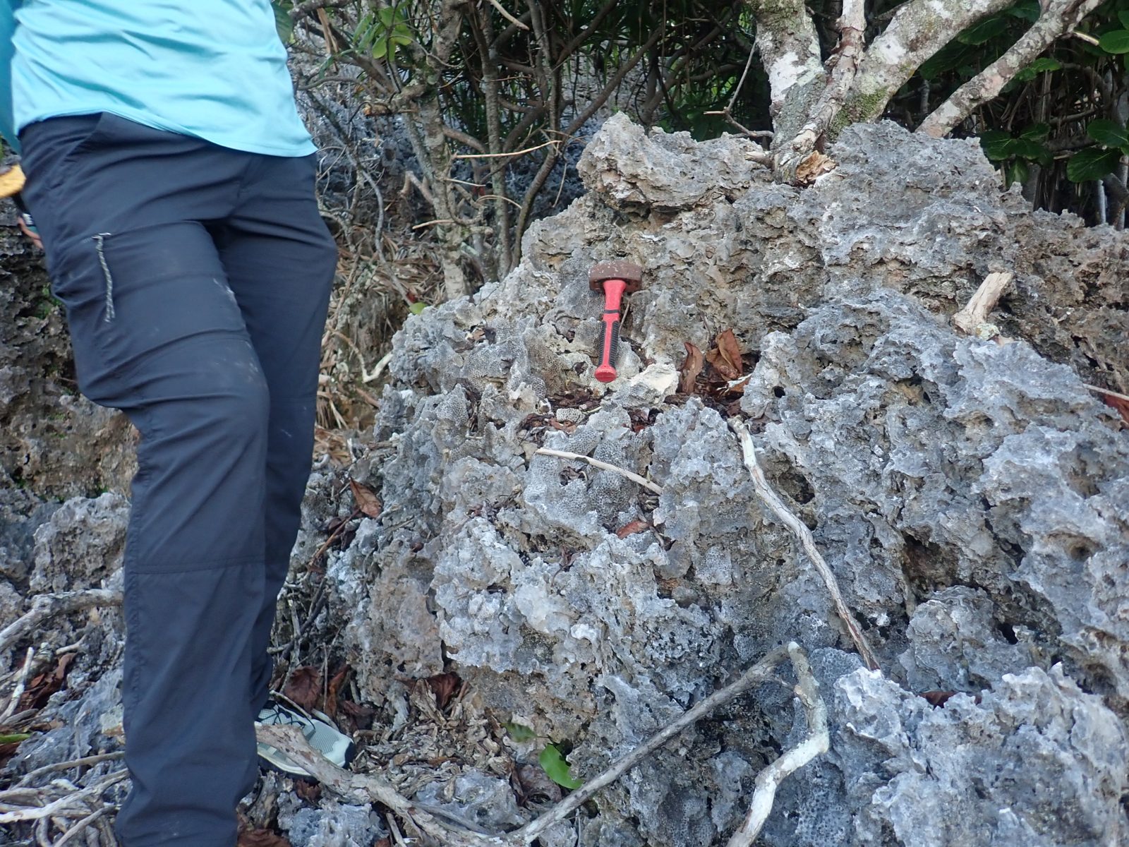 Recorder mark for HS109G sample at the coral head inland of the road.