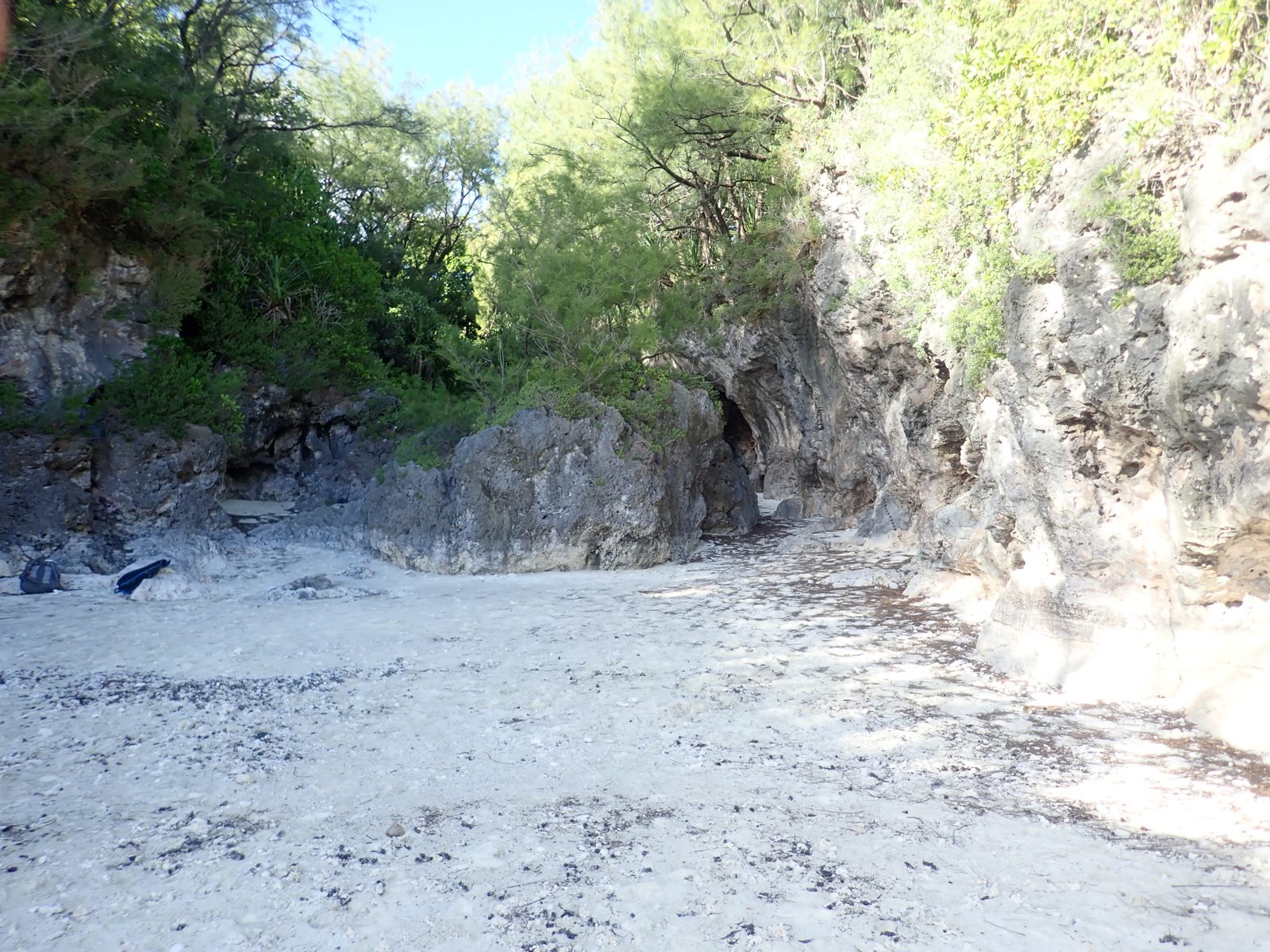 Araoa cave-infill hypotheses: Three hypotheses were recorded for Araoa: Holocene infill into a 5e cliff, 5e infill into an older cliff, or multiple events within MIS 5e; the drilled Gischler-age coral is central to testing them.