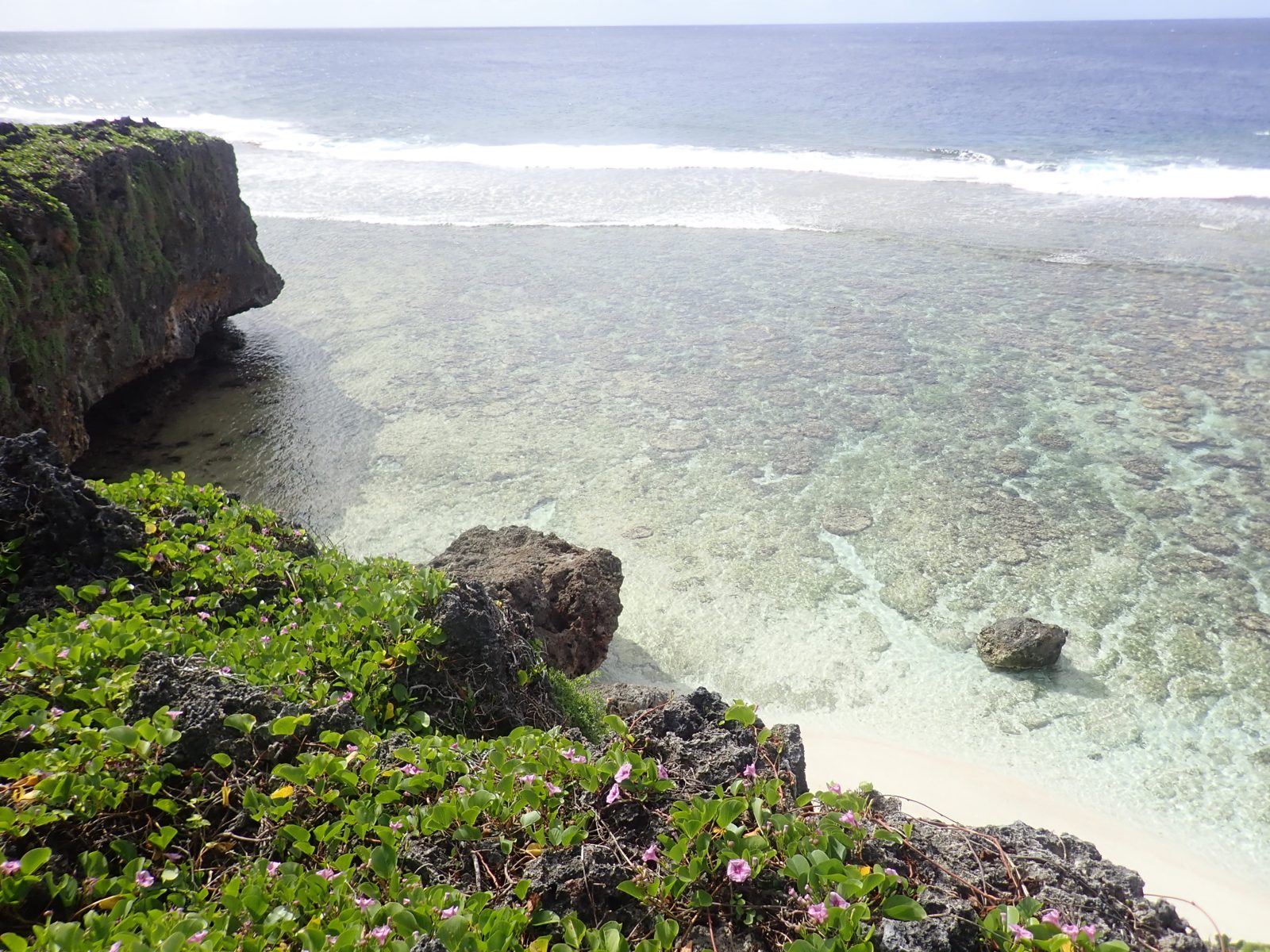 HS111 Ivirua access route: HS111 Ivirua access follows a town road, steep makatea descent, ladder, and slot canyon to a flat with many small microatoll-like forms.