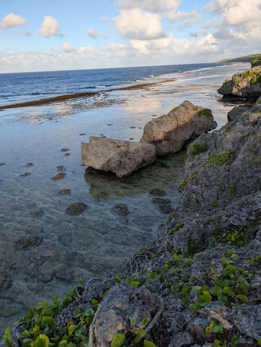 HS112 Karanga framework reef: HS112 near Karanga exposes in-situ corals at similar elevation to HS111, with modern reef-flat microatolls beautifully exposed at low tide.