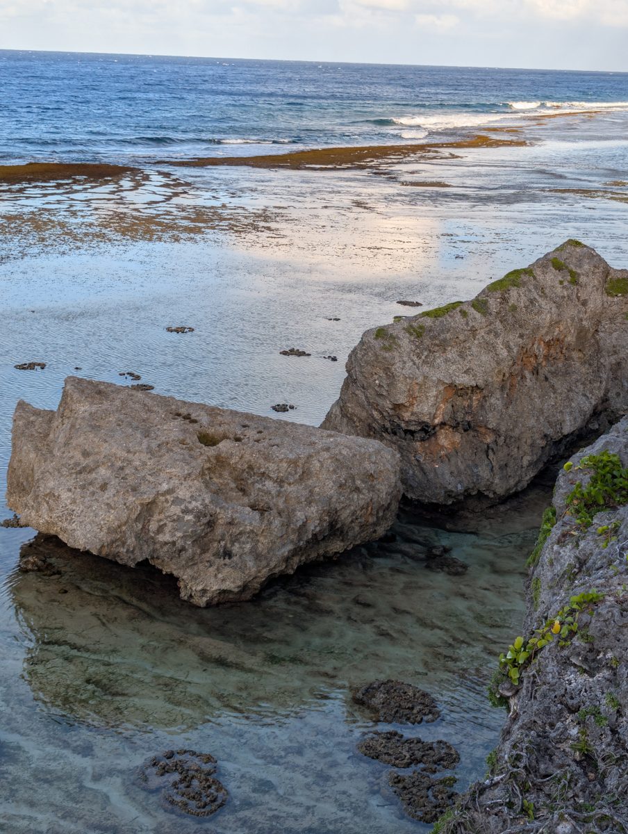 HS112 Karanga framework reef: HS112 near Karanga exposes in-situ corals at similar elevation to HS111, with modern reef-flat microatolls beautifully exposed at low tide.