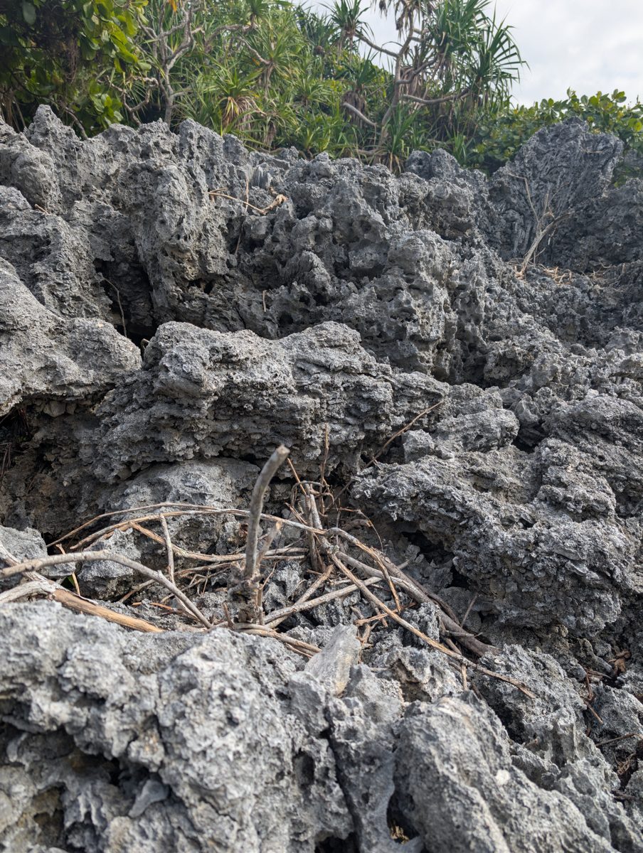 Cemented coral-shell cobbles: Photos from a reef hole show cemented rounded cobbles of coral, shells, and carbonate pieces with encrusting and branching corals on the walls.