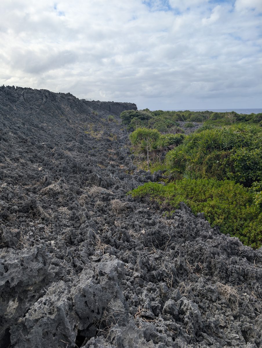Second-cliff contact uncertainty: The relation between the road plane, reef at the cliff base, and second cliff remains unclear; the exposure may be deeper reef of the same highstand rather than a separate terrace contact.