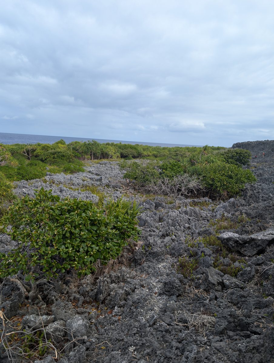 Patchy second bench reef: Photos show a narrow, patchy second bench with coral reef, dolines, and framework, possibly an intermediate reef or low coral garden on a higher stand.