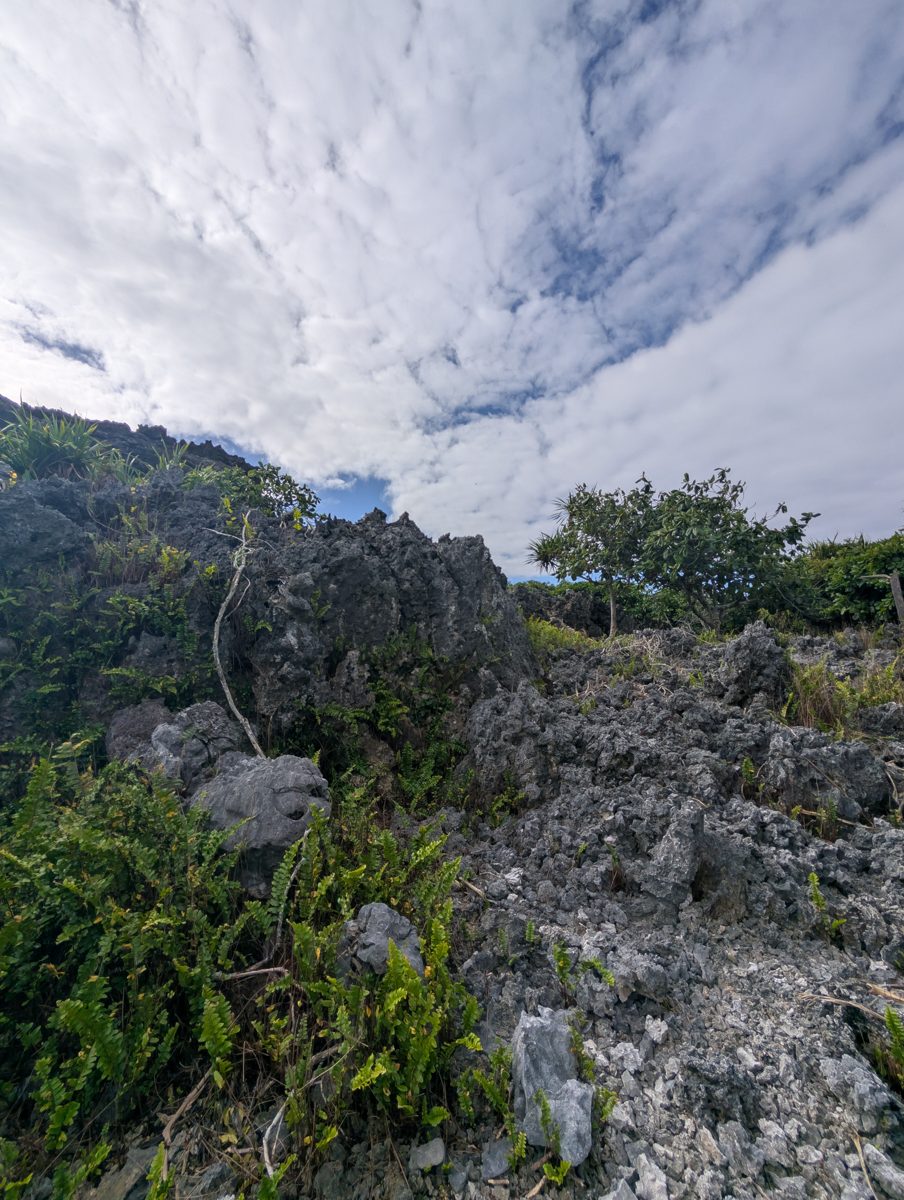Three-layer reef exposure: Photos frame lower coral reef, vertical walls, a recrystallized backreef/microbial flat with sparse corals, and the higher second cliff.