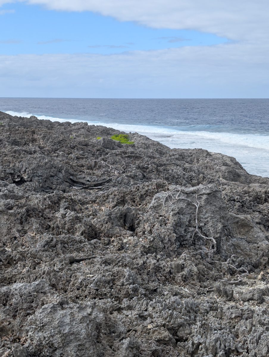 First cliff gullied reef fabric: Toward the coast, the first cliff becomes more coral-rich and develops rivulets or gullies running seaward.