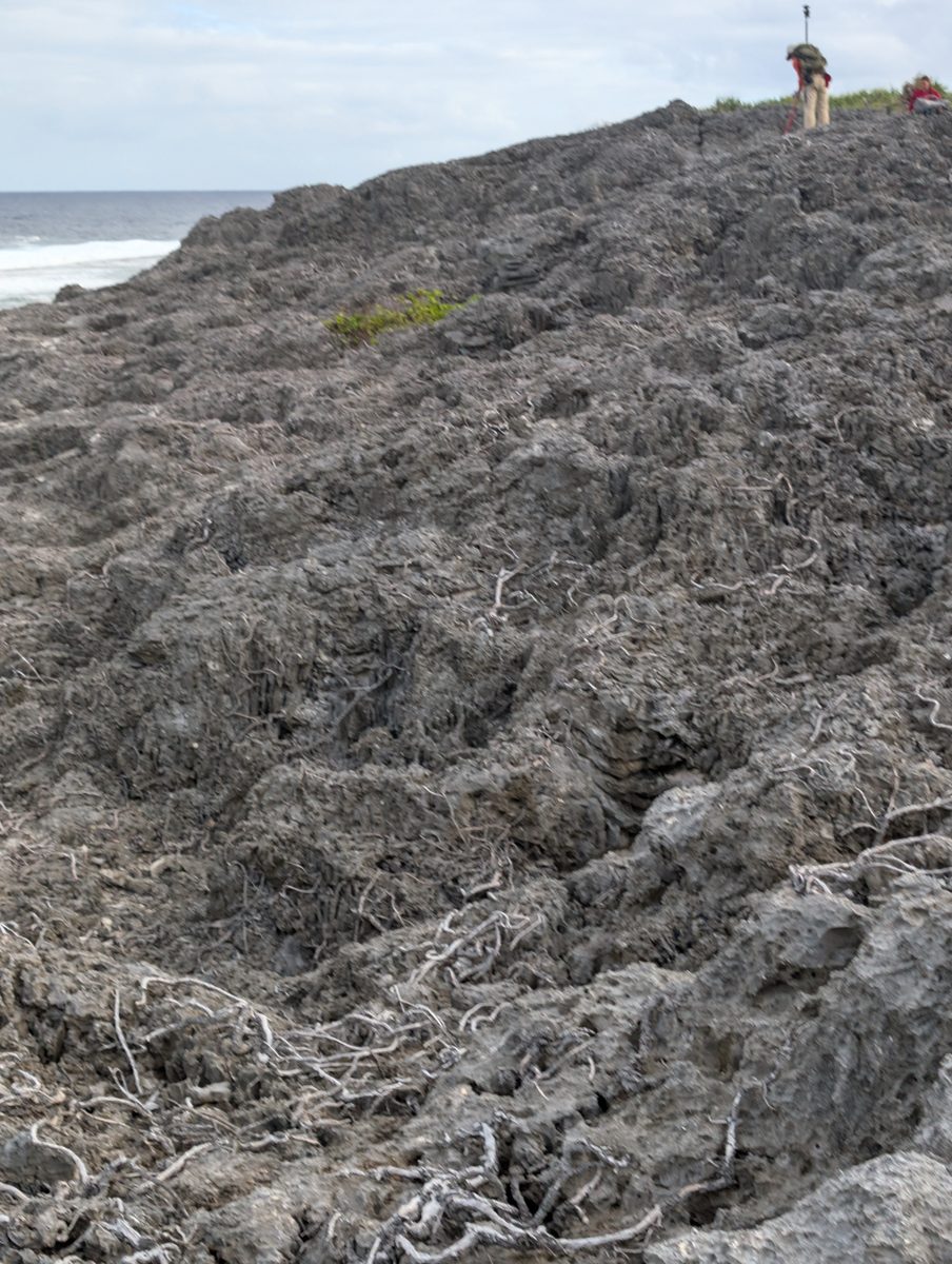 Coral spurs on first cliff: Photo note records coral composing most spines or spurs along the first cliff.
