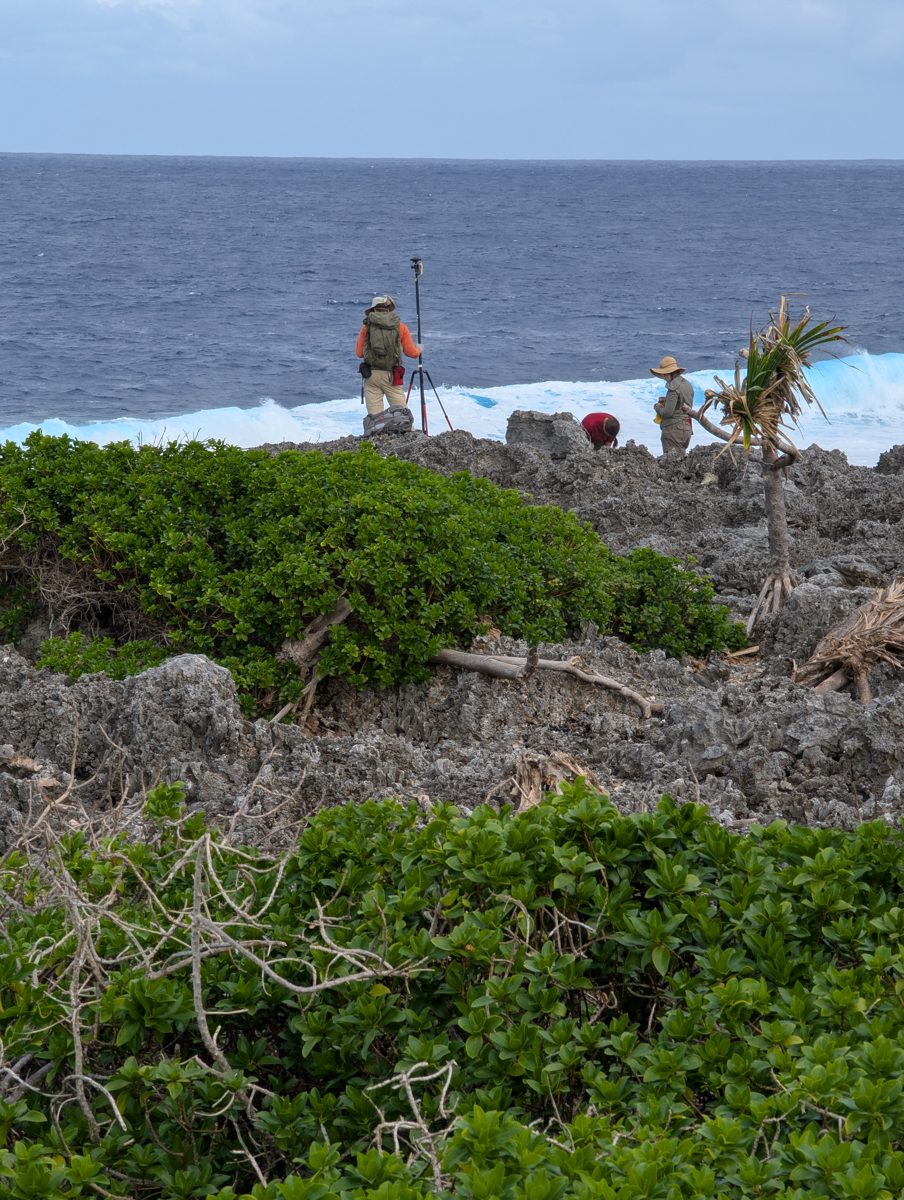 Coral spurs on first cliff: Photo note records coral composing most spines or spurs along the first cliff.