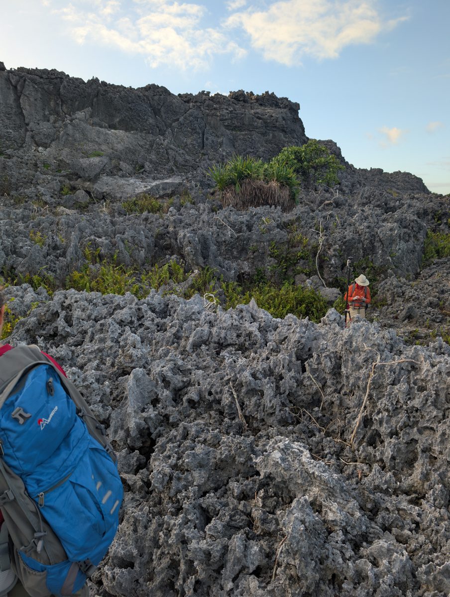 HS113 lows between intermediate highs: GPS work in lows between diamond-shaped intermediate highs showed abundant lower coral and more weathered coral on higher features.