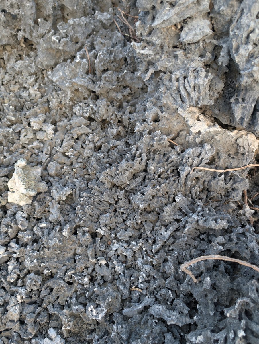 Intermediate patch-reef interpretation: Repeated checks suggest the intermediate highs may be patch reefs with channels between them, perhaps exposed briefly or grown up to a sea-level limit.