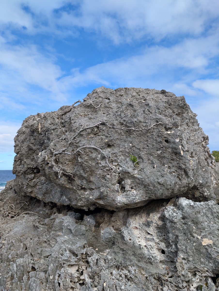 HS115 perched boulder on high cliff: Perched boulder on the first high cliff may be an older analogue for boulders falling into lower tidal flats as cliffs retreat.