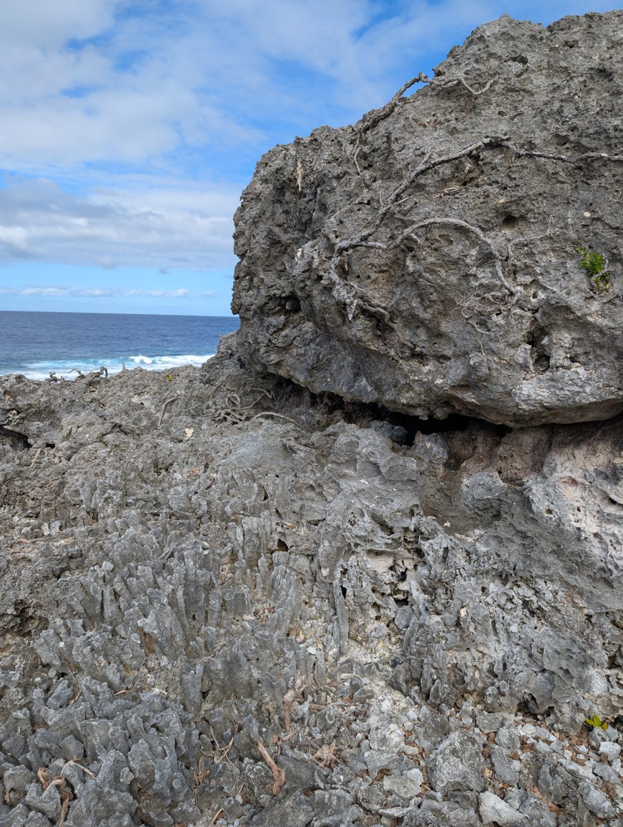 HS115 perched boulder on high cliff: Perched boulder on the first high cliff may be an older analogue for boulders falling into lower tidal flats as cliffs retreat.