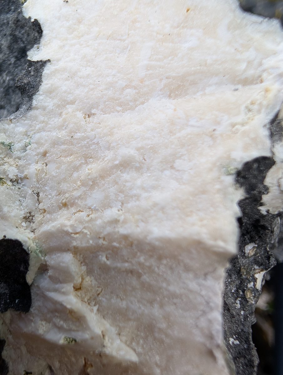 HS115 recrystallized mound surface: Fresh mound surface lacks obvious coral and may be heavily recrystallized grainstone.