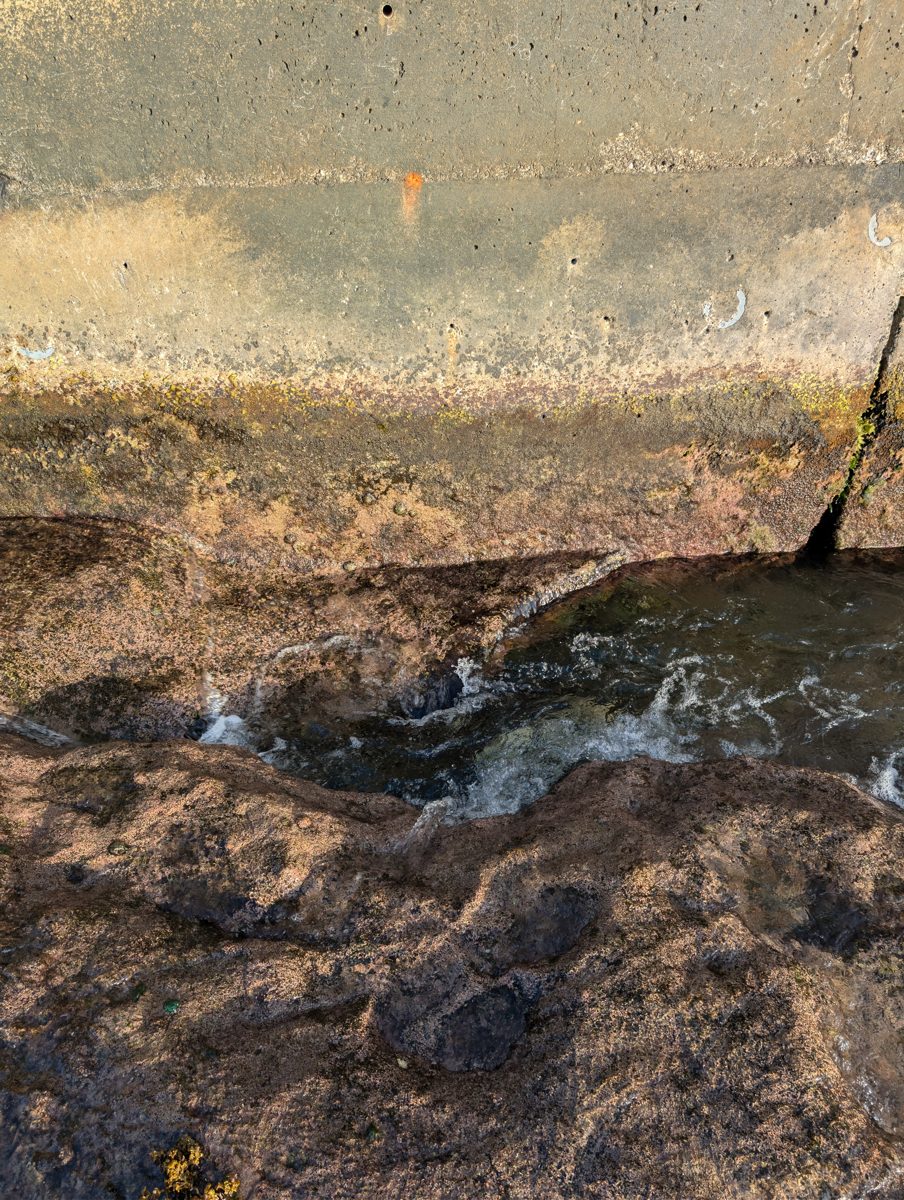 Mauke tide-gauge placement: Tide gauge was placed beside the Mauke harbor road in a protected low-tide hole.