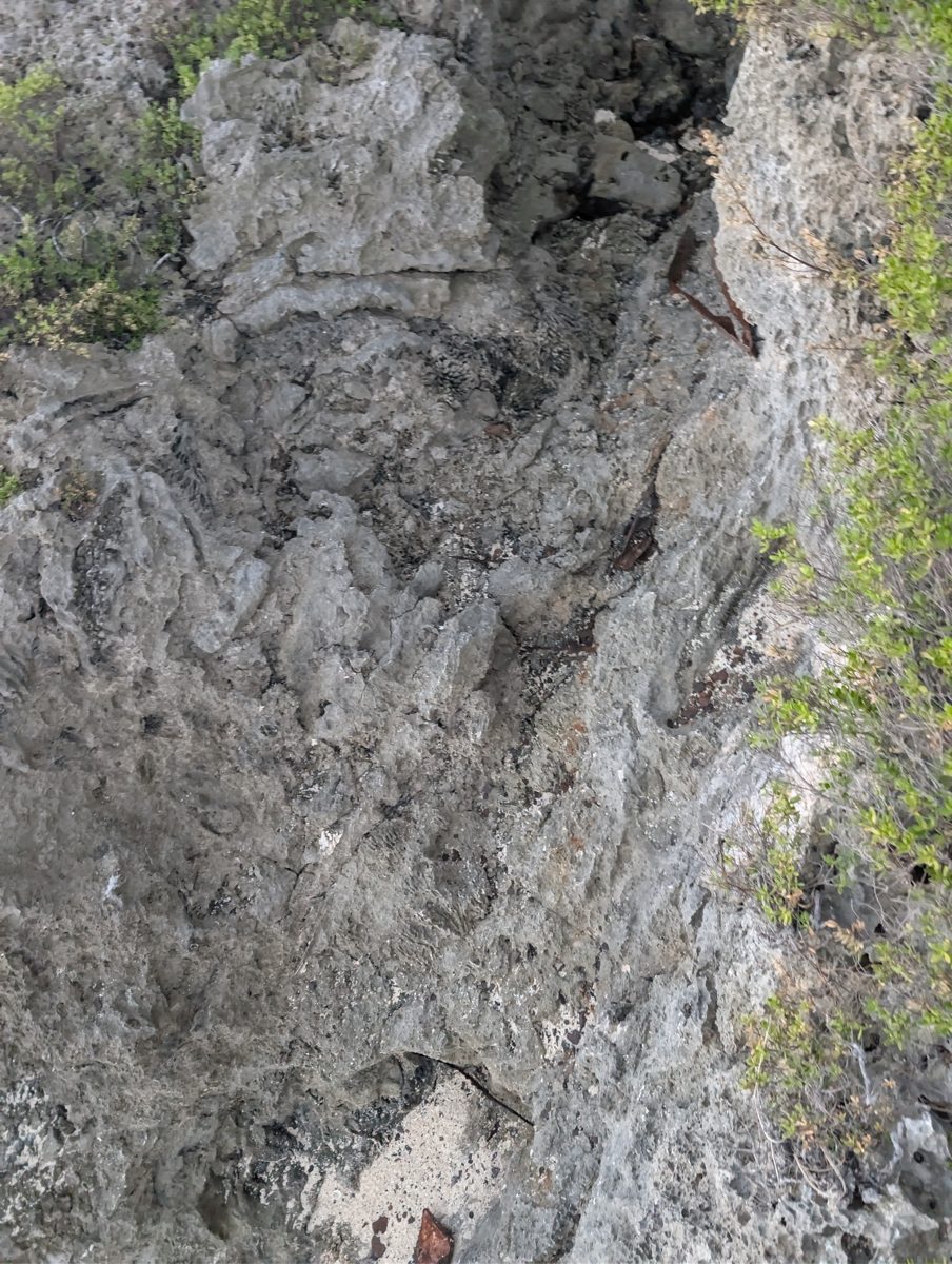 Tukuna spurs and grooves: Tukuna Beach has broad spurs and grooves with possible encruster growth; modern formation remains possible.
