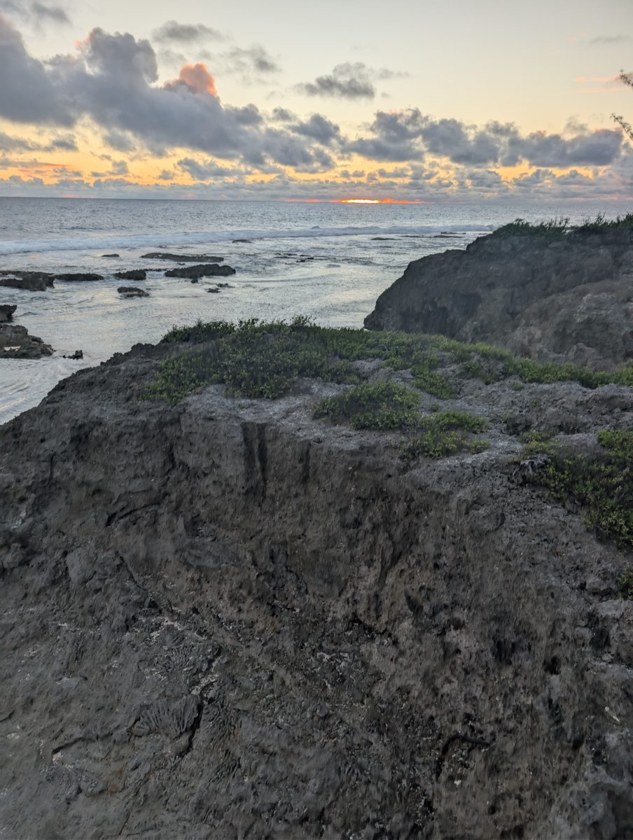 Tukuna spurs and grooves: Tukuna Beach has broad spurs and grooves with possible encruster growth; modern formation remains possible.
