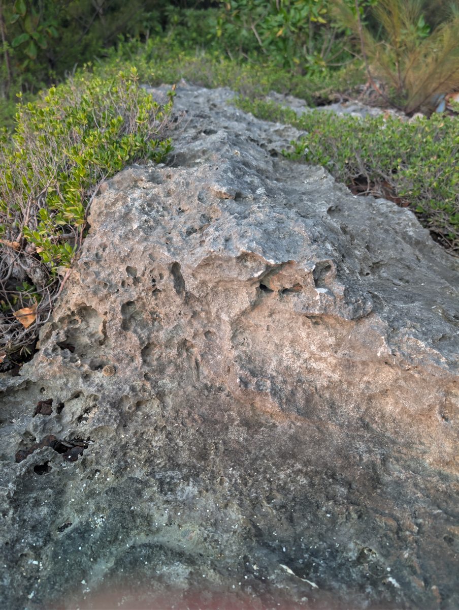 Tukuna weathered outcrop top: A weathered or bioencrusted outcrop top may represent a different unit or subenvironment, but the relation is unresolved.