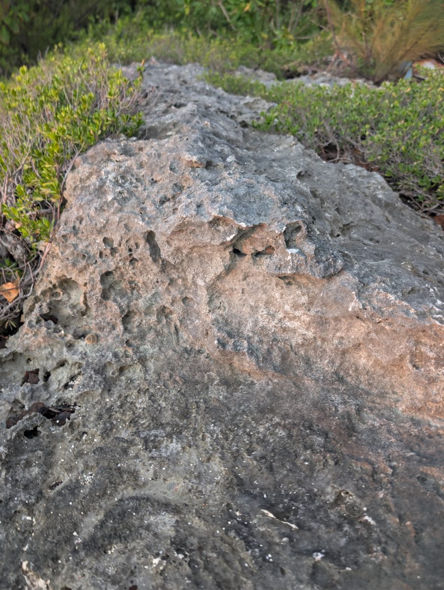 Tukuna weathered outcrop top: A weathered or bioencrusted outcrop top may represent a different unit or subenvironment, but the relation is unresolved.