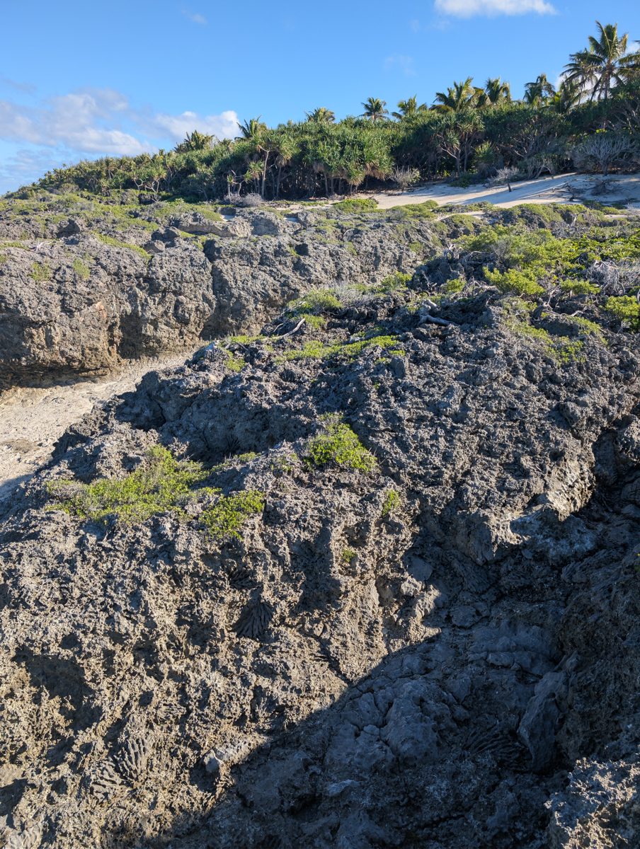 Spurs rising into dune: Raised spurs were described as rising into a substantial dune or sand body.