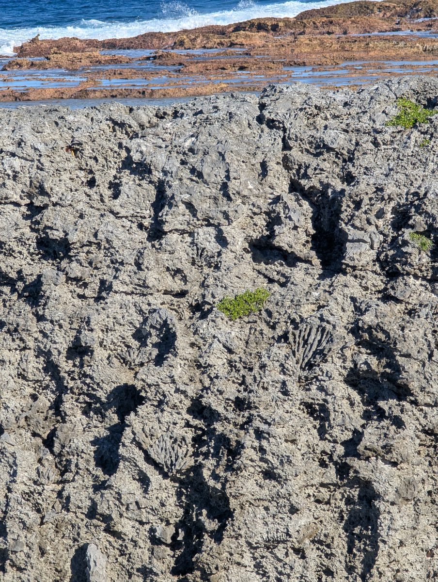 Spurs rising into dune: Raised spurs were described as rising into a substantial dune or sand body.
