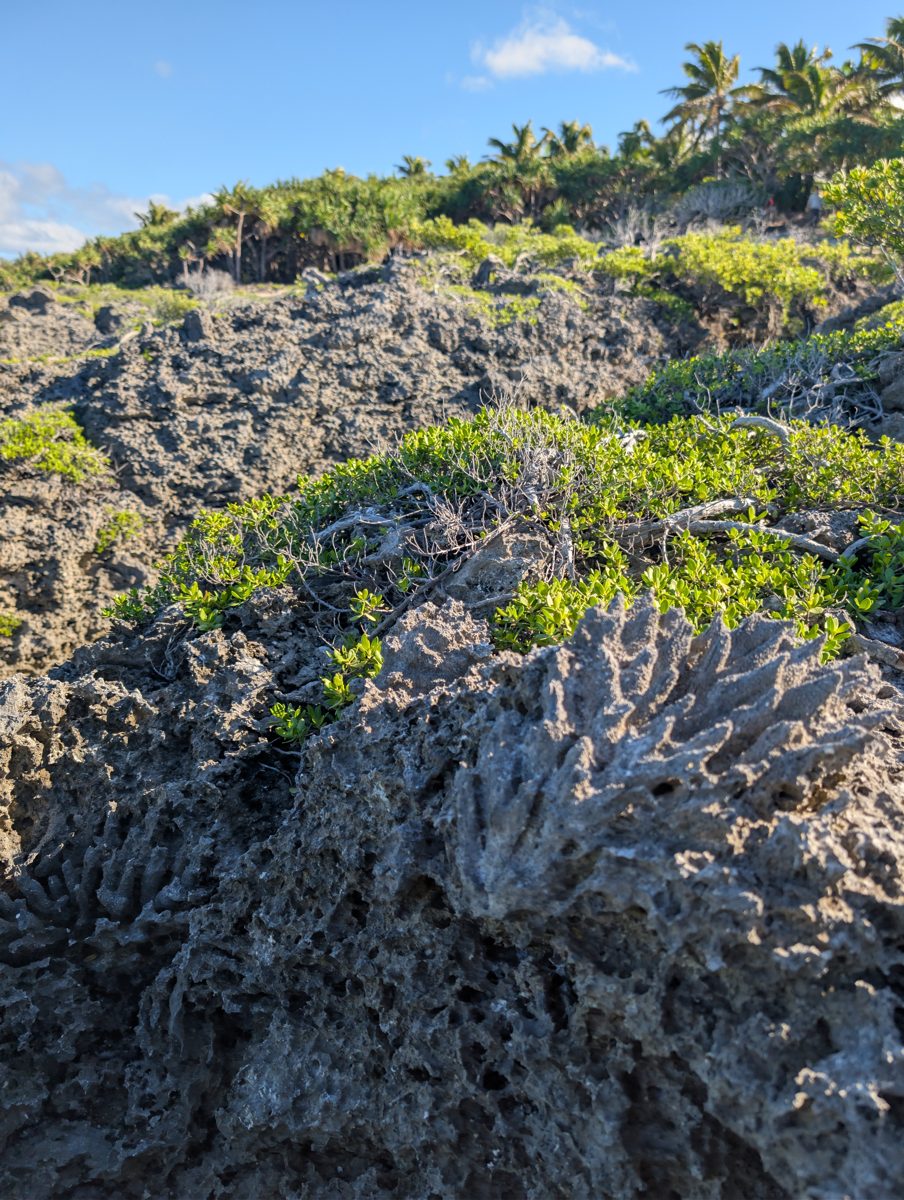 Spurs rising into dune: Raised spurs were described as rising into a substantial dune or sand body.
