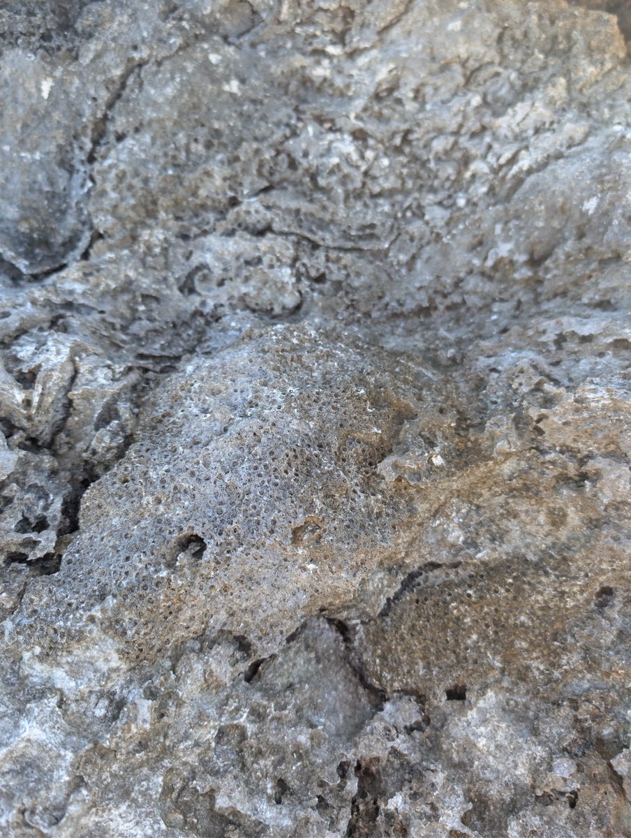 Groove bedrock and sand fill: Photos show bedrock or cemented material in grooves near recent sand fill.