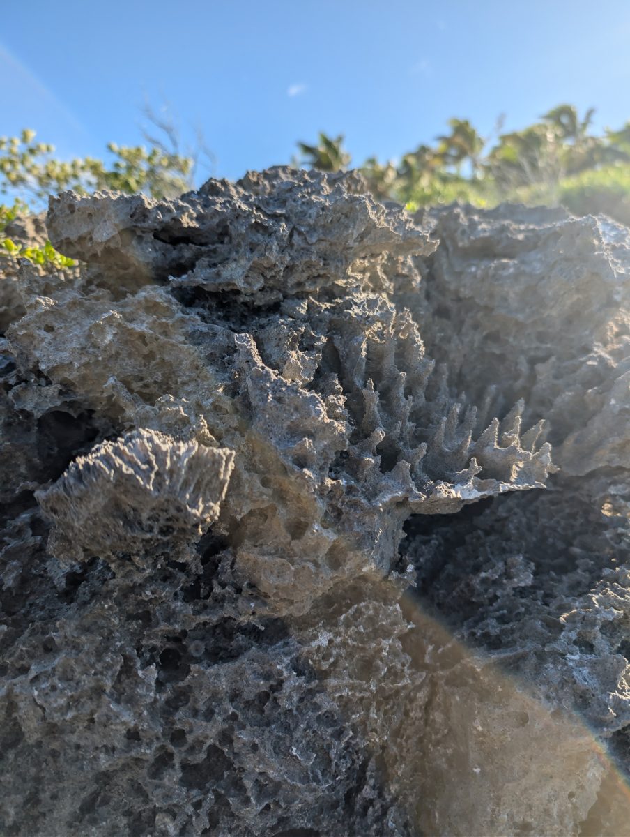 Groove bedrock and sand fill: Photos show bedrock or cemented material in grooves near recent sand fill.