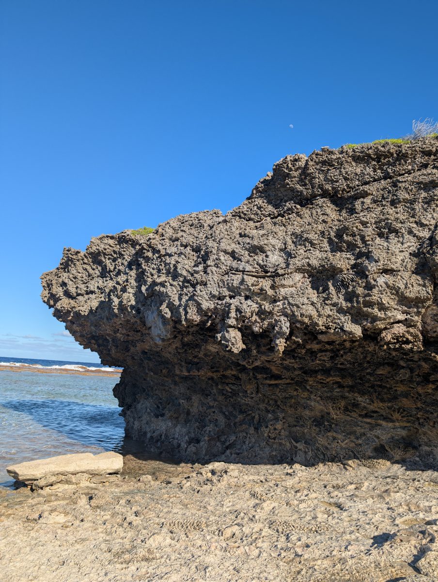 Holocene beachrock discussion: The team discussed a possible Holocene beachrock or related feature; the transcript remains uncertain.