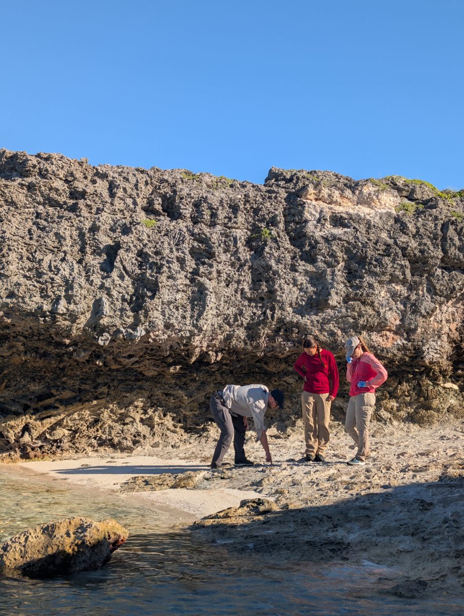 Holocene beachrock discussion: The team discussed a possible Holocene beachrock or related feature; the transcript remains uncertain.