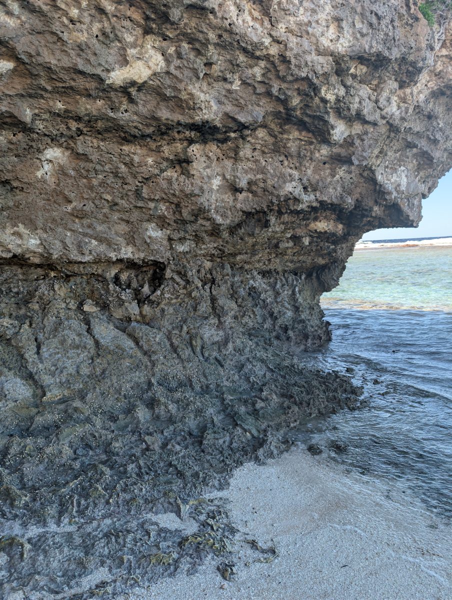 Undercut weathered limestone face at Anaraura beside shallow reef water, with dark irregular bands and rougher rock near the base.