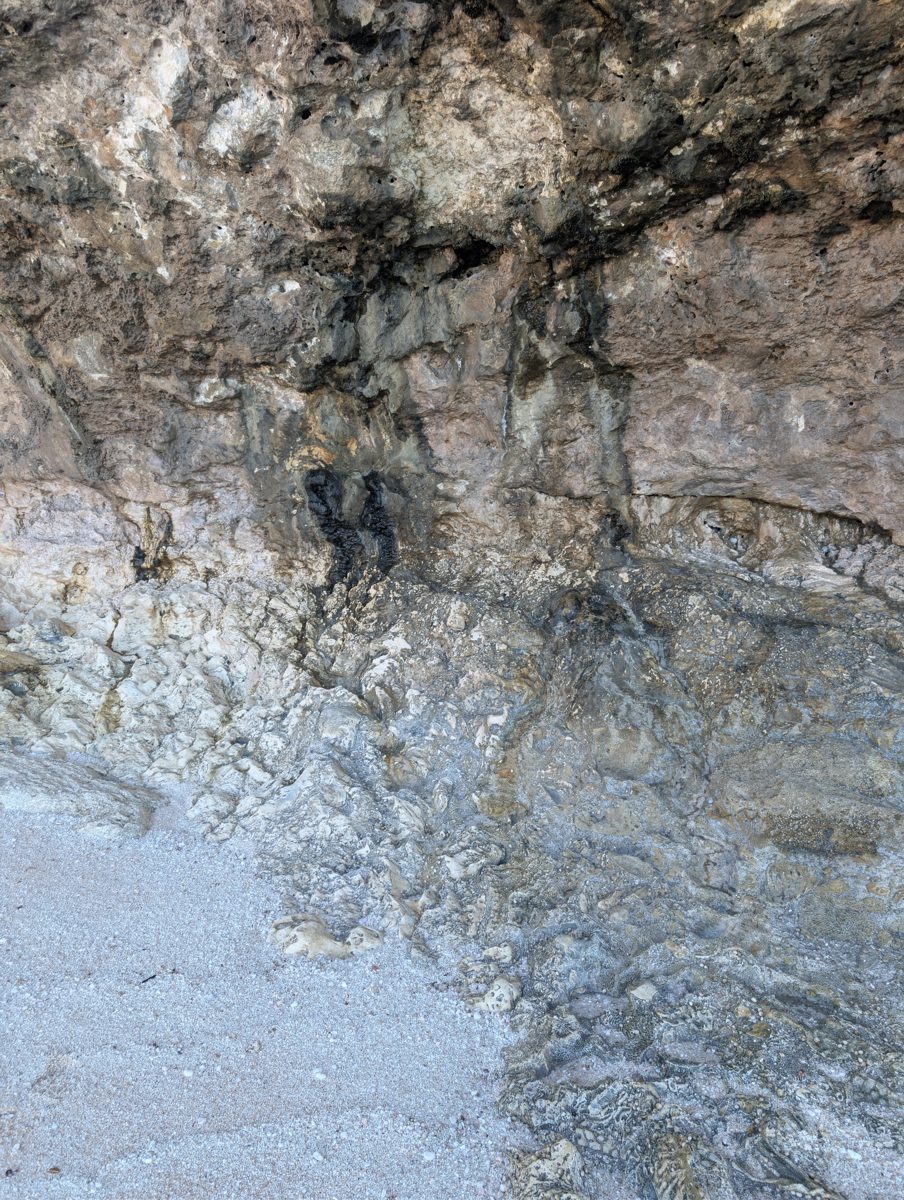 HS116 notch horizon: A distinct horizon in the tidal notch may separate units or mark an older notch filled with breccia; interpretation is open.
