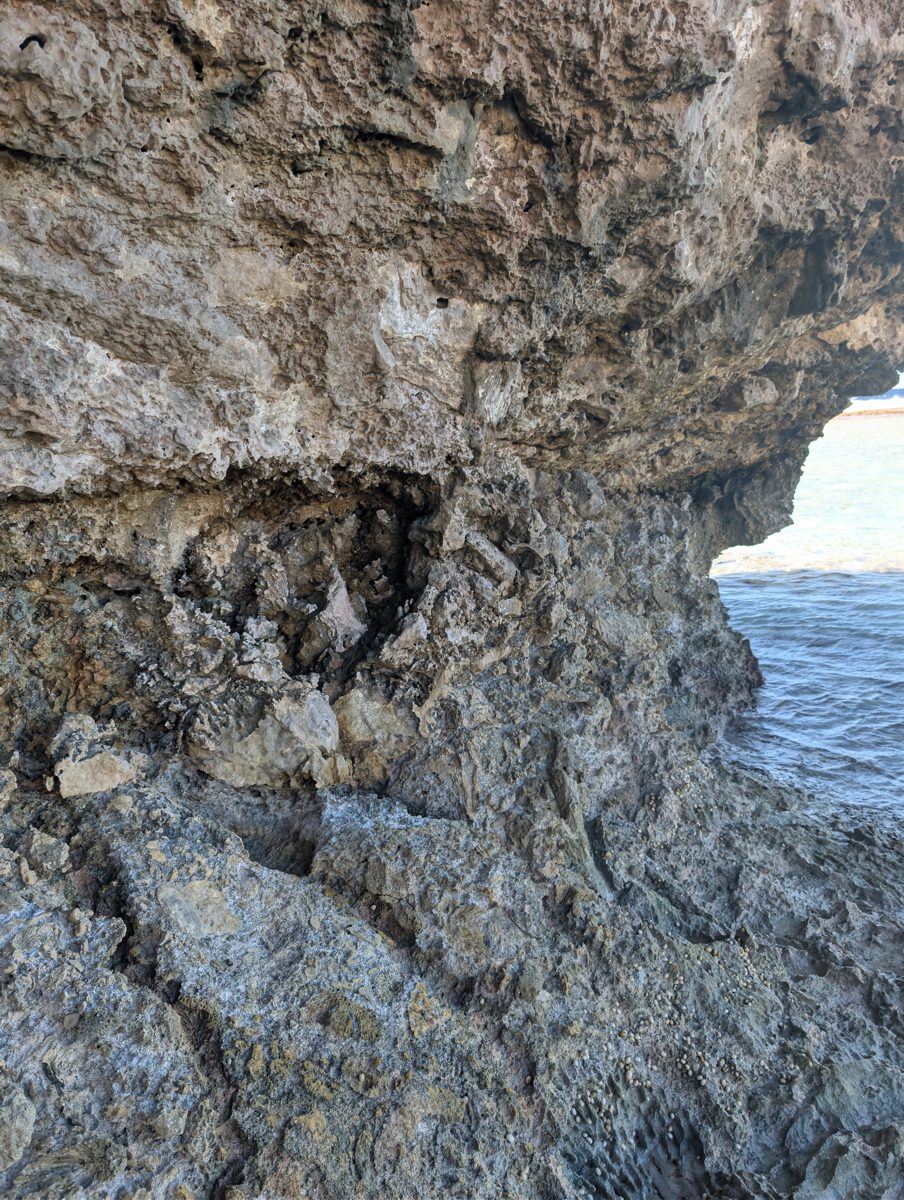 HS116 notch horizon: A distinct horizon in the tidal notch may separate units or mark an older notch filled with breccia; interpretation is open.
