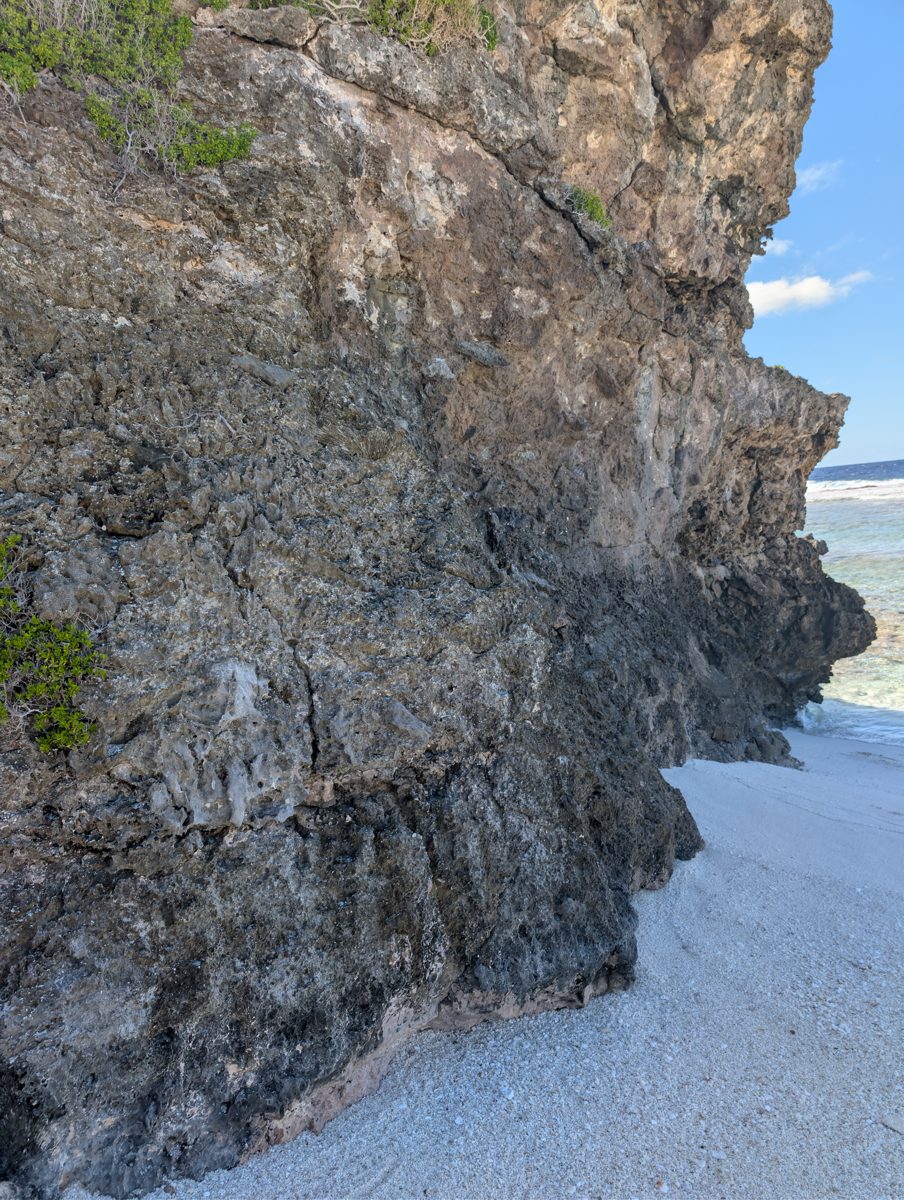HS116 unclear growth photo: Audio is unclear, but this appears to be a photo note for coral growth at HS116.