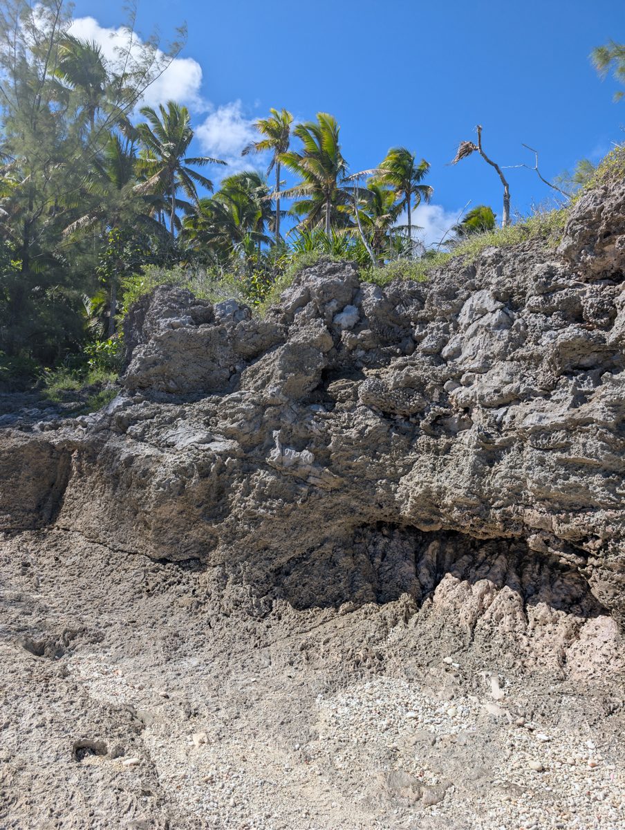 HS117 two-layer exposure: HS117 shows lower rubble or in-situ corals and an irregular contact reoccupied by Porites-like colonies.