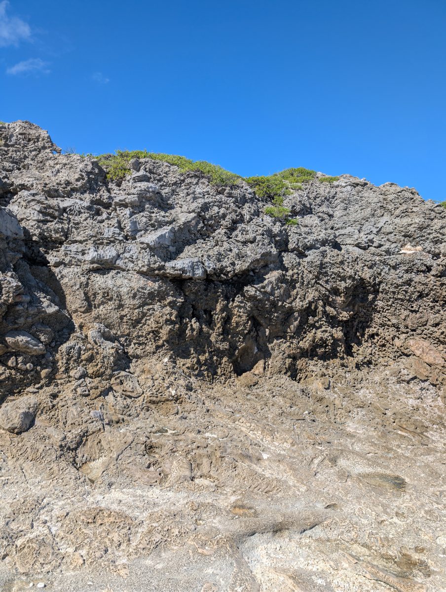 HS117 two-layer exposure: HS117 shows lower rubble or in-situ corals and an irregular contact reoccupied by Porites-like colonies.
