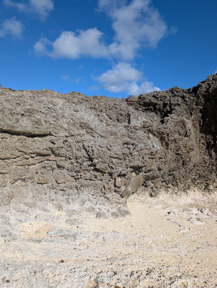Sunlit HS118 reef-limestone exposure with preserved coral heads, irregular cavities, and pale sediment at the base.